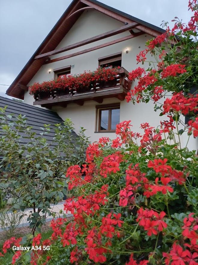 Apartament Pod Bukowym Lasem Meszna Exterior foto